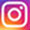 insta icon
